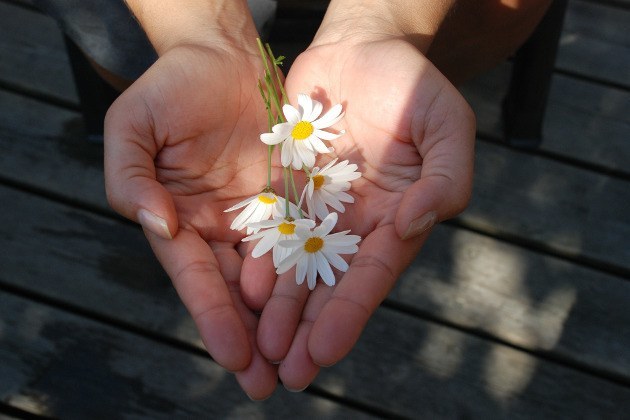 creux de mains avec fleurs