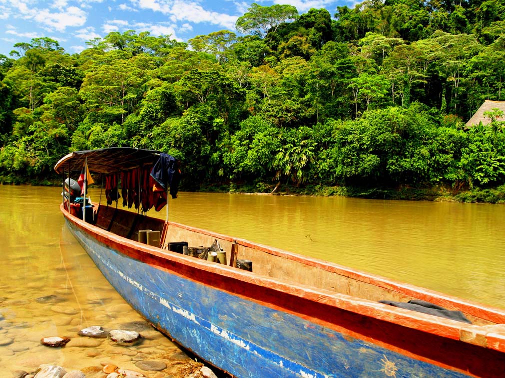 illustration bateau amazonie